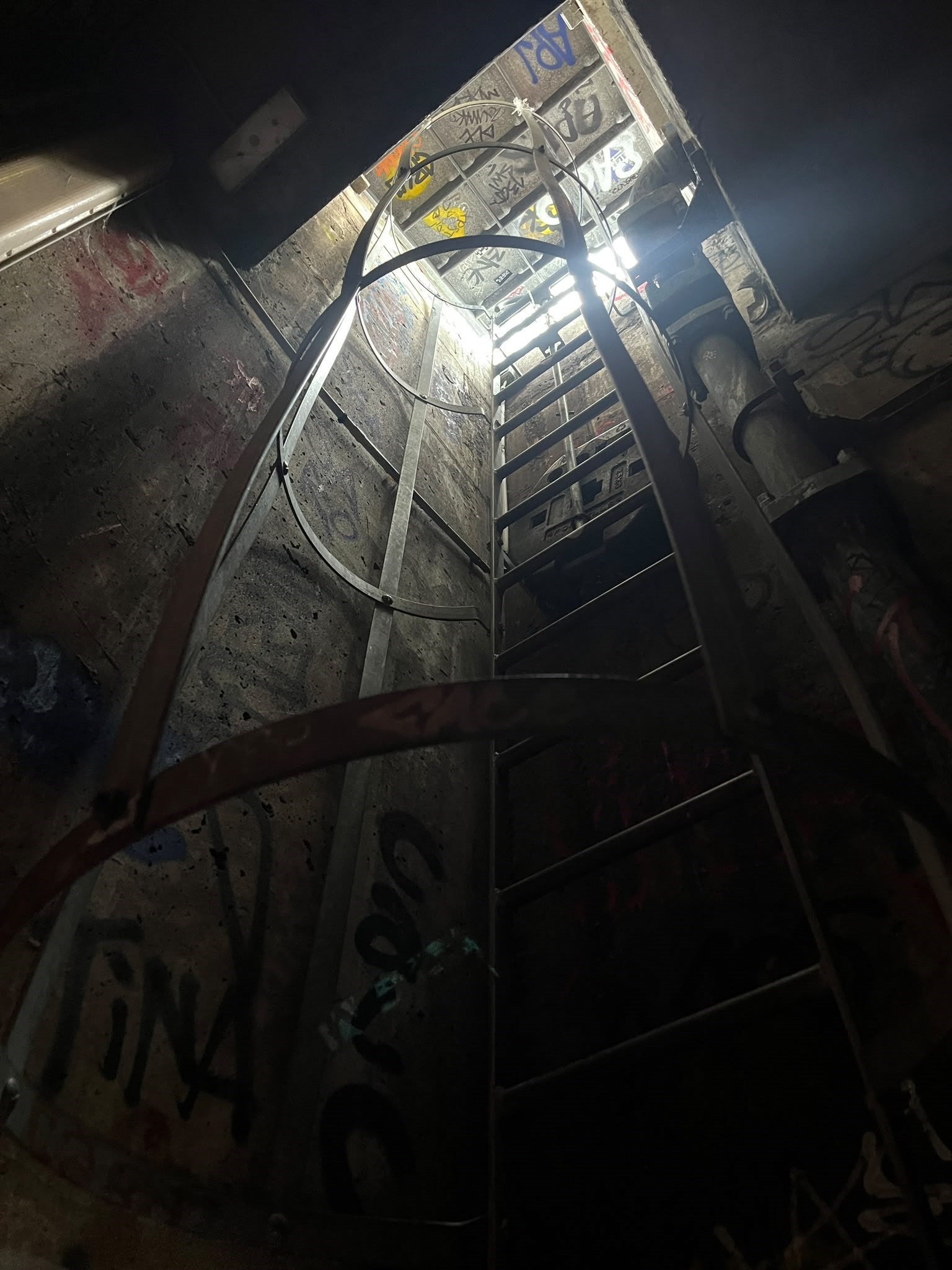 Caged Ladder (CMcGowan)