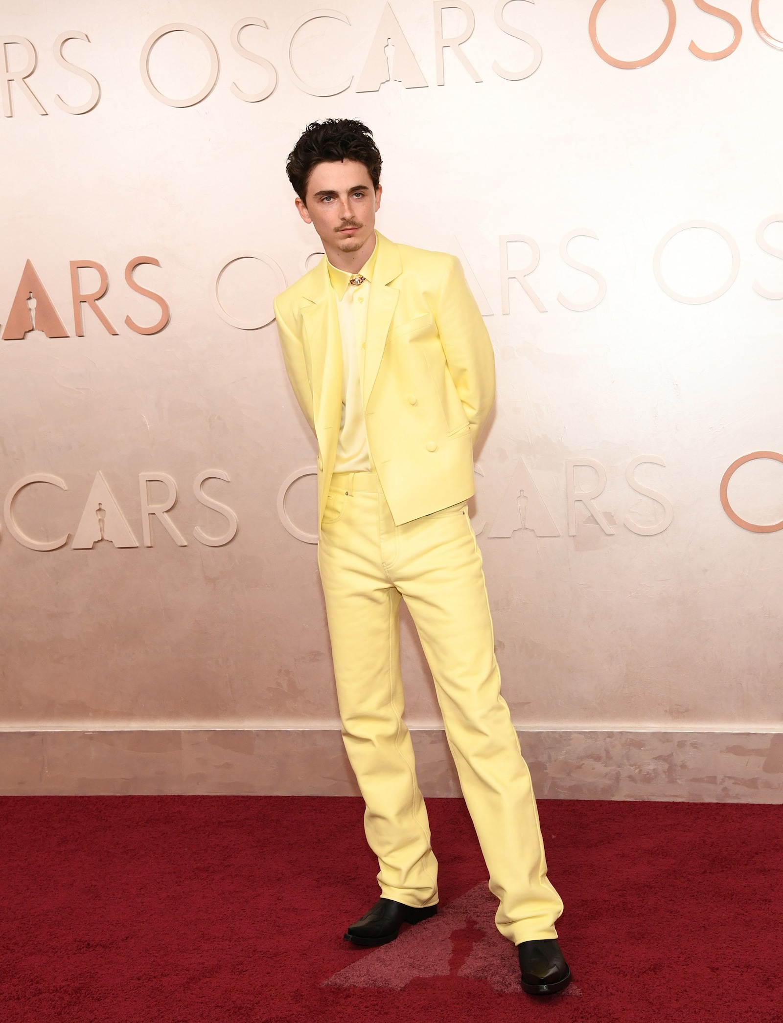 Timothée Chalamet at the Oscars
