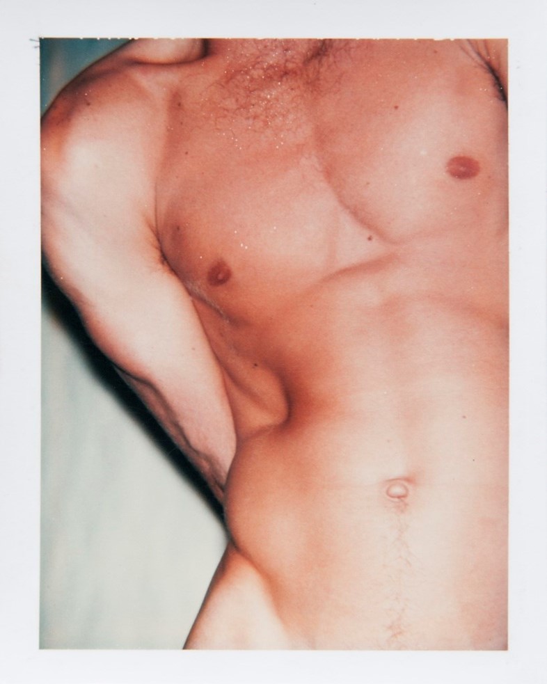 Sex Parts And Torsos 1977 Andy Warhol Dazed