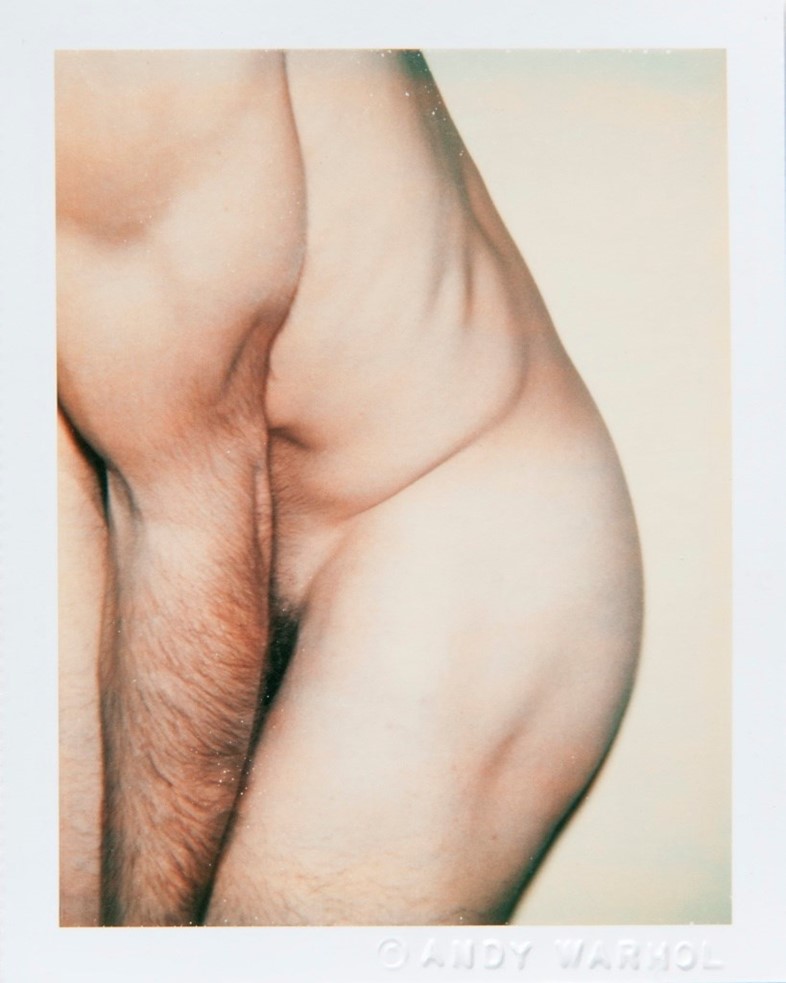 Sex Parts And Torsos 1977 Andy Warhol Dazed