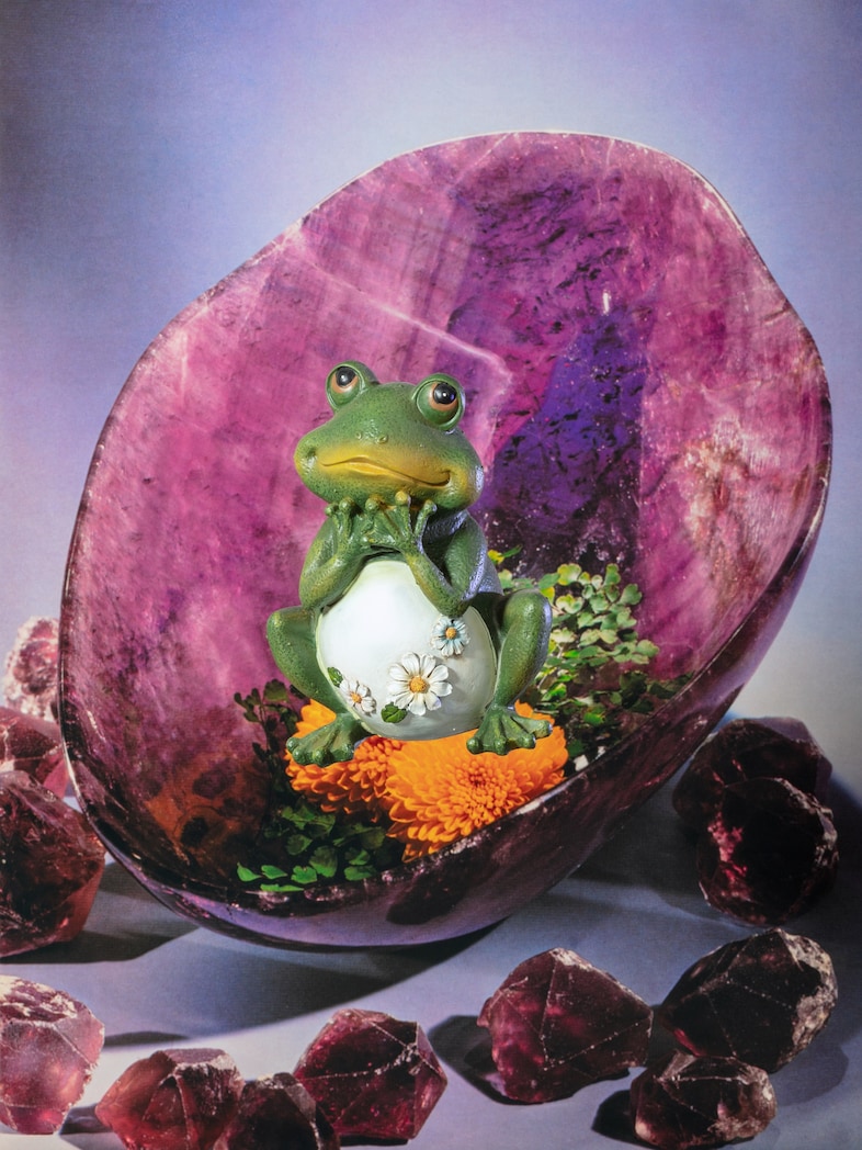 8 new photo books for springtime 8 new photo books for springtime