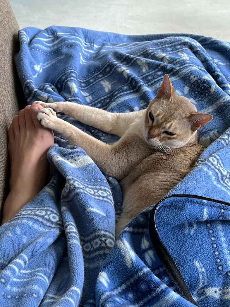 Spring photo book round-up