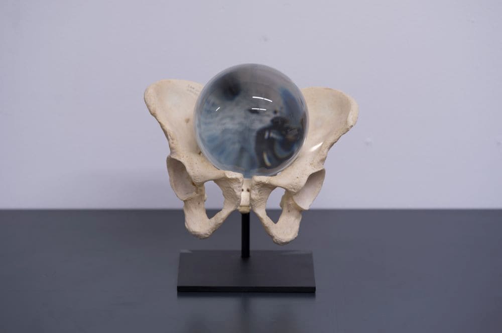 Raised By Wolves, 2013