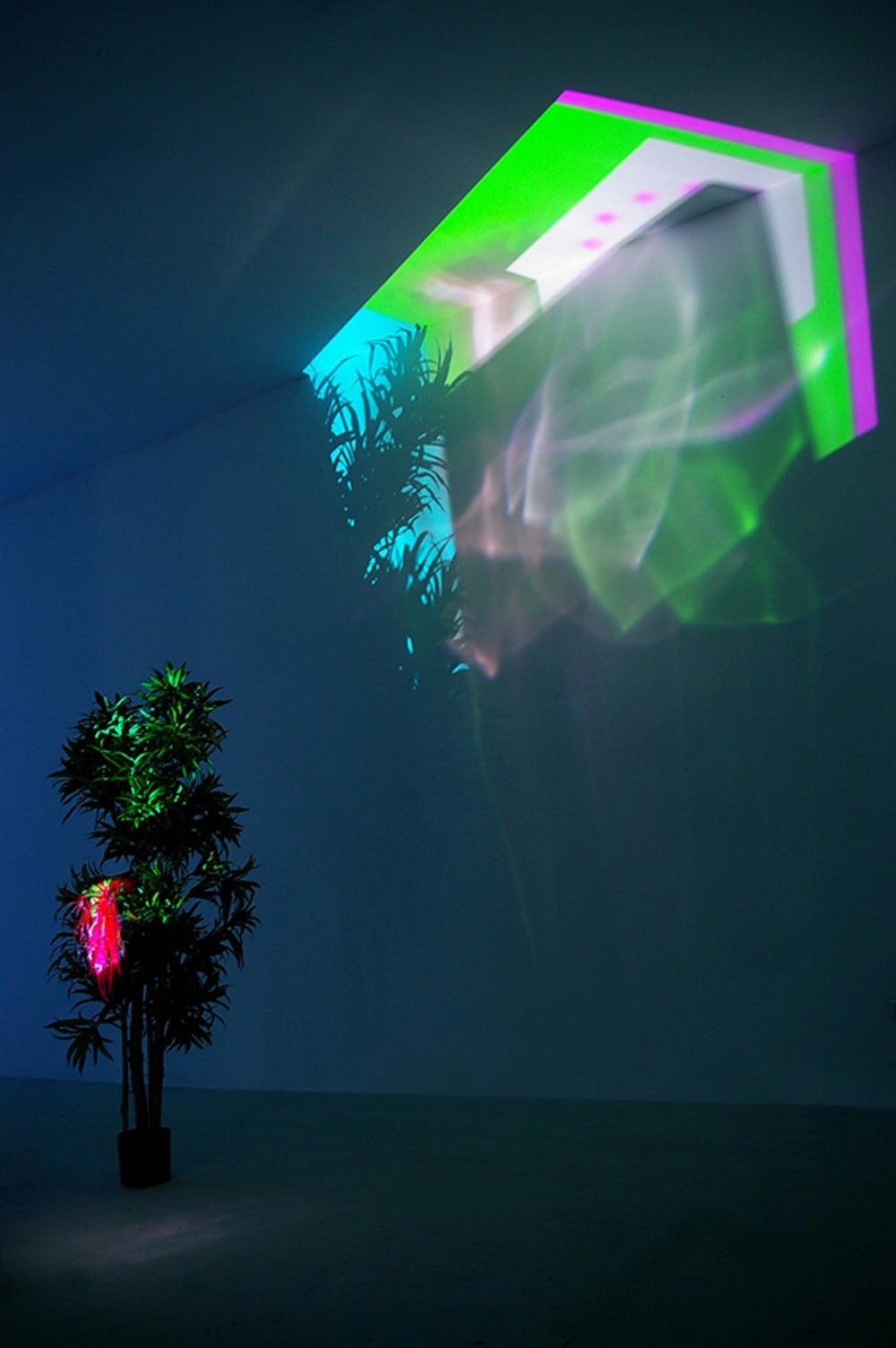 eating_a_tube_anemone