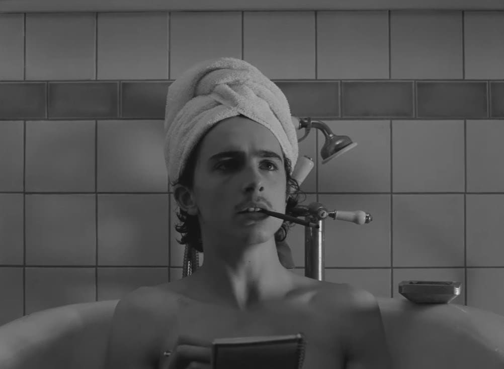 Timothée Chalamet, The French Dispatch