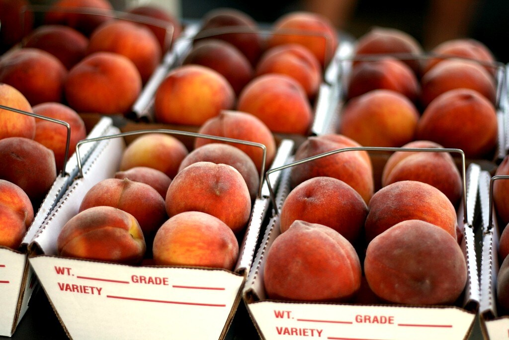 4767415547_e093611508_b