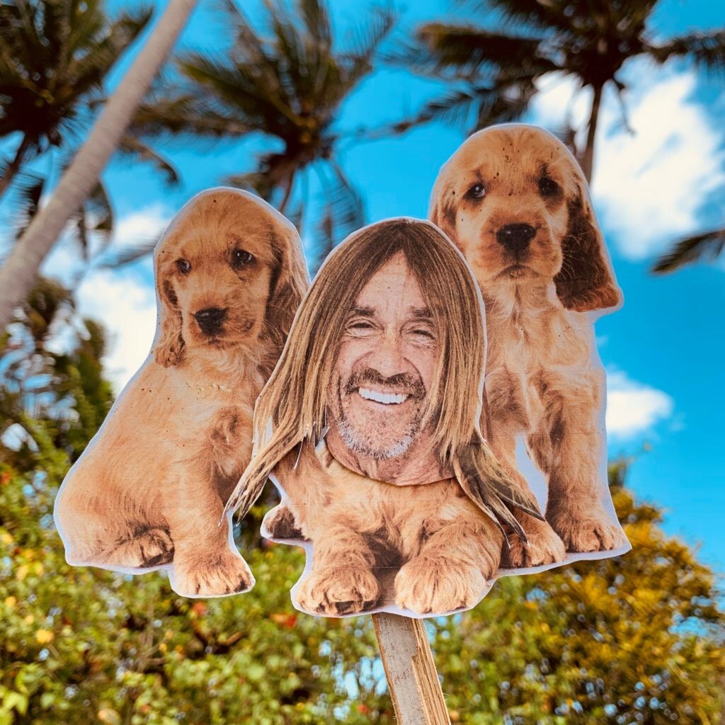 Iggy Pop, Maurizio Cattelan