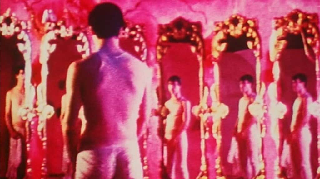 Pink Narcissus, 1971