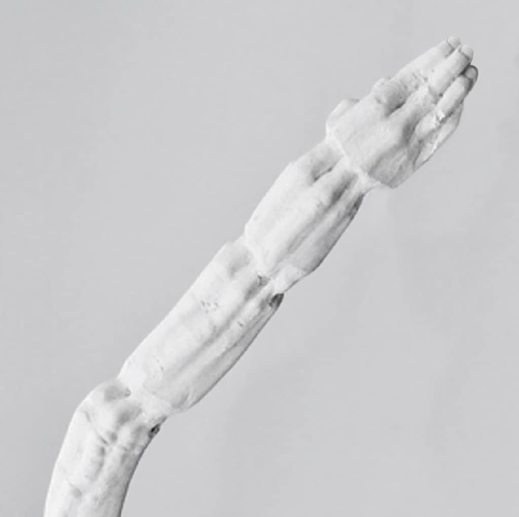 Sinew (detail), Juliana Cerqueira Leite (Courtesy 