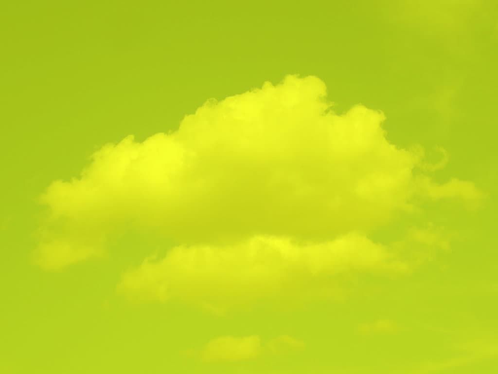 Marie Quéau, Gojira, 2010