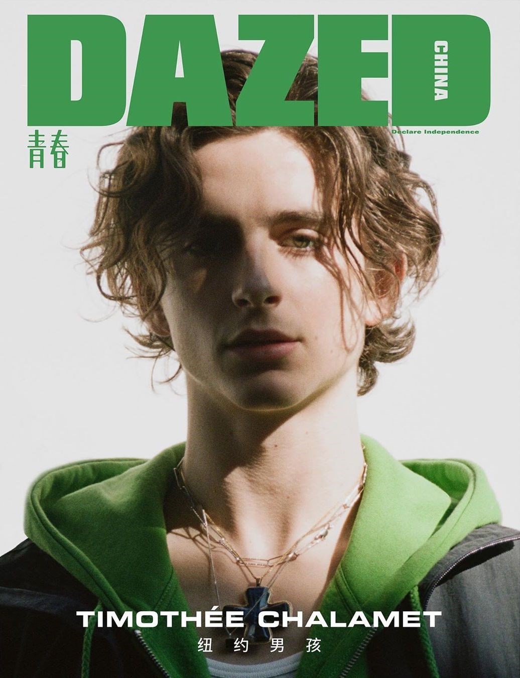Timothée Chalamet stars on the cover of Dazed China