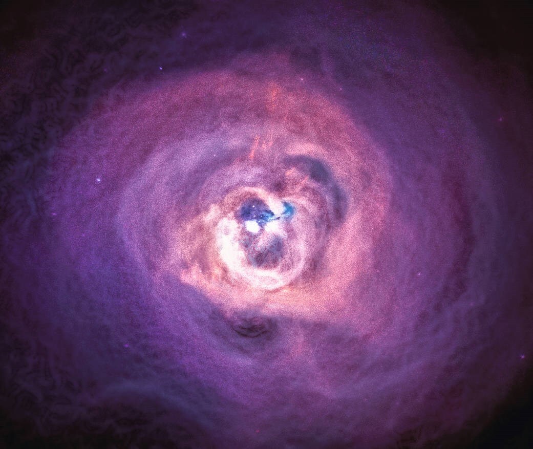 Black hole in the Perseus galaxy cluster