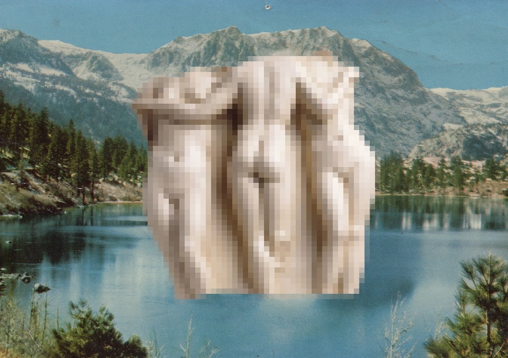 charlotte fos - LIVE WILD