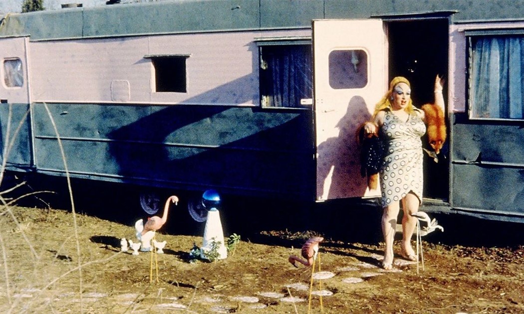 Pink Flamingos (1972) blue eyeshadow