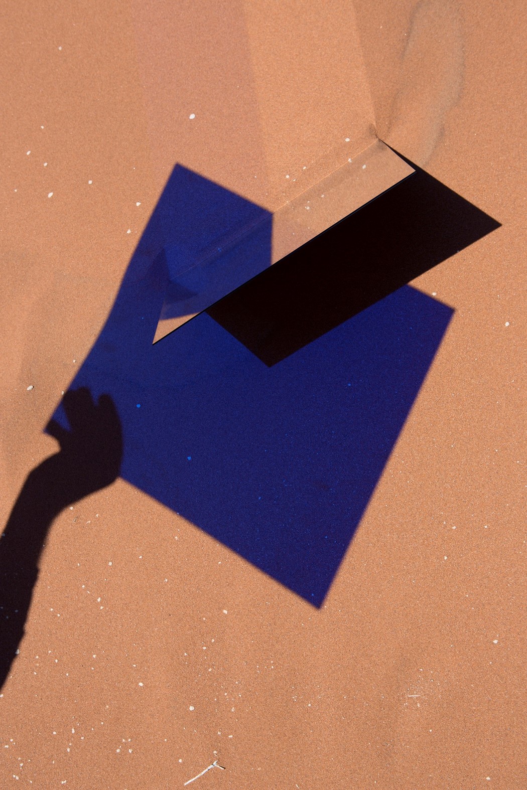 Viviane Sassen — PHOSPHOR: Art & Fashion 1990-2023, discover her