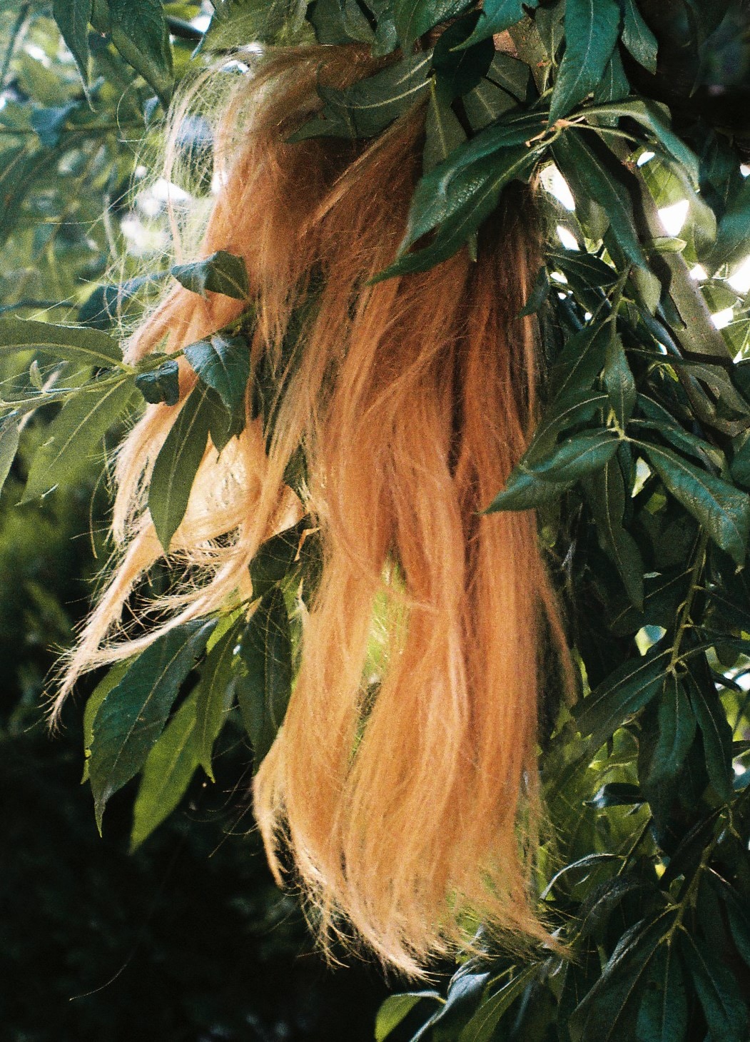 Mate Moro, photography series, Dazed