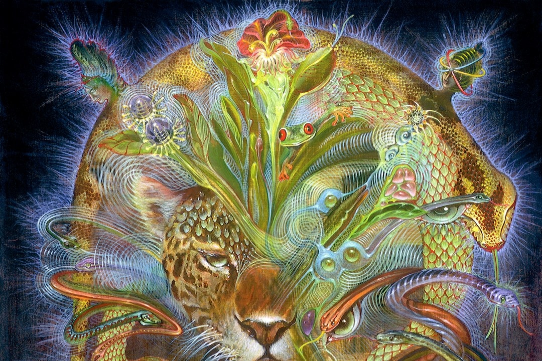 Could music sound better on drugs? Dazed