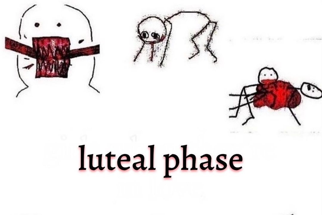 What is the luteal phase?