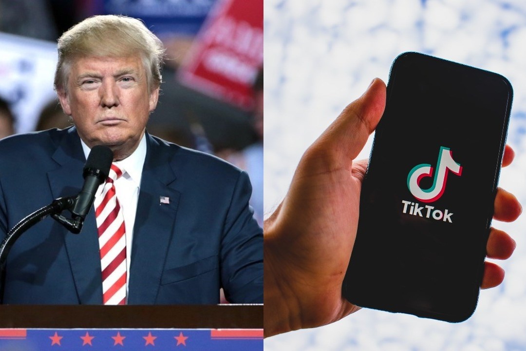 TikTok Sues US Government Over Trump Ban | Dazed