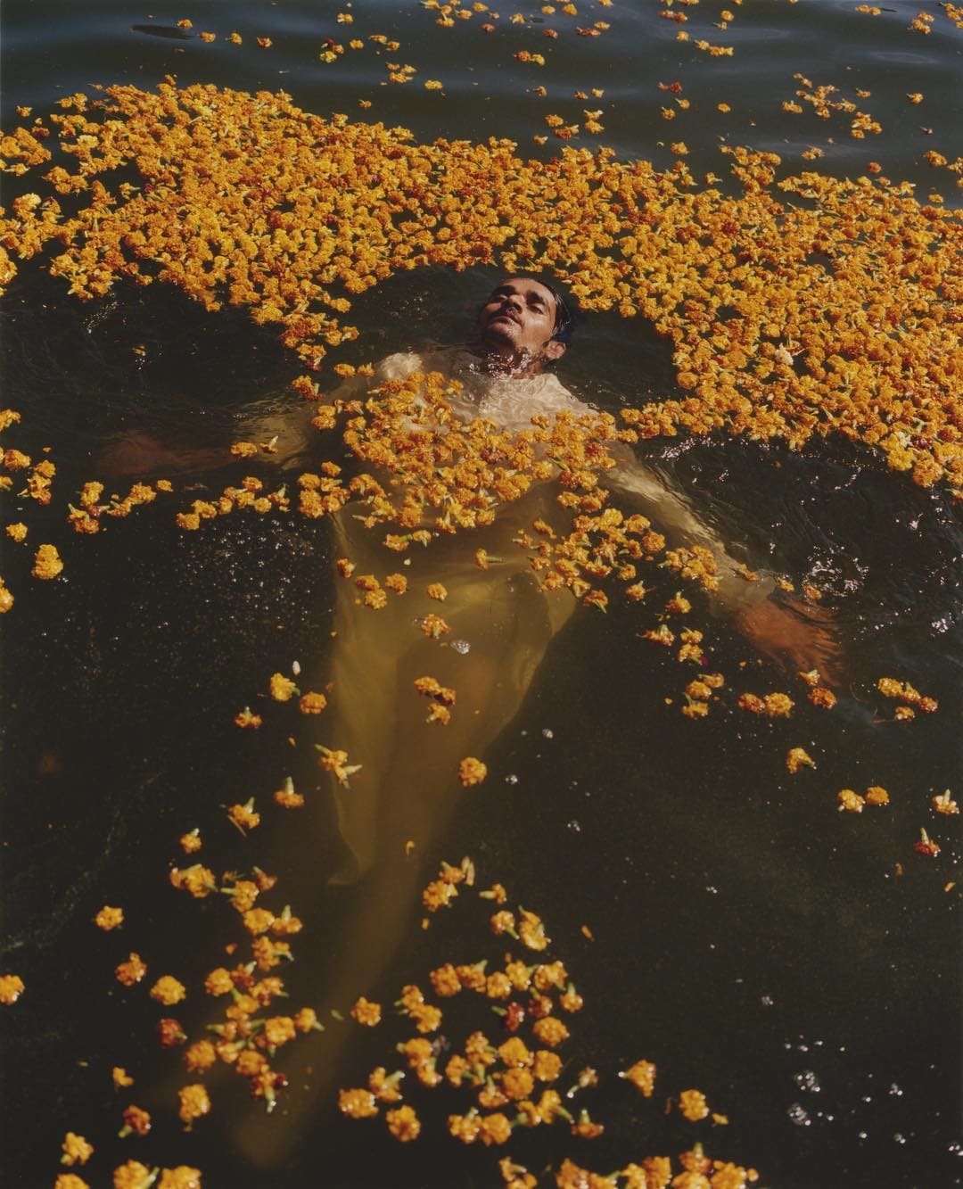 42895098_1977568602362759_6574256757615568450_n-1