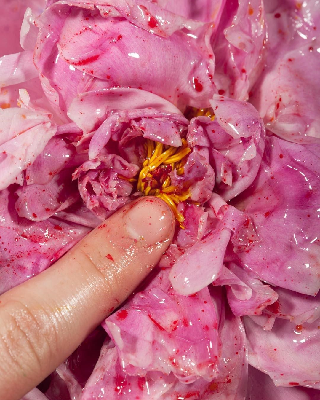 22158794_173444696541915_7477370545726554112_n