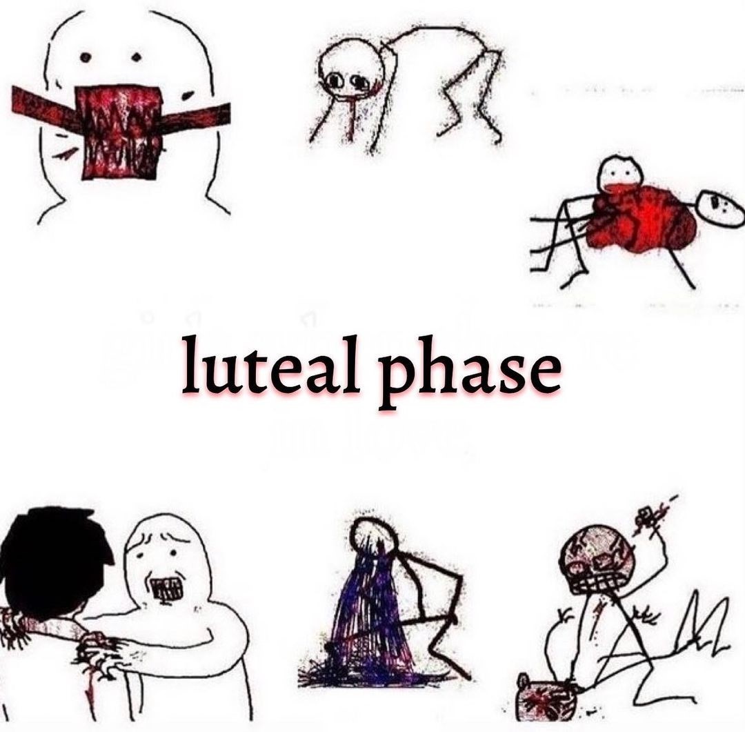 Does the luteal phase of your menstrual cycle really make you ugly