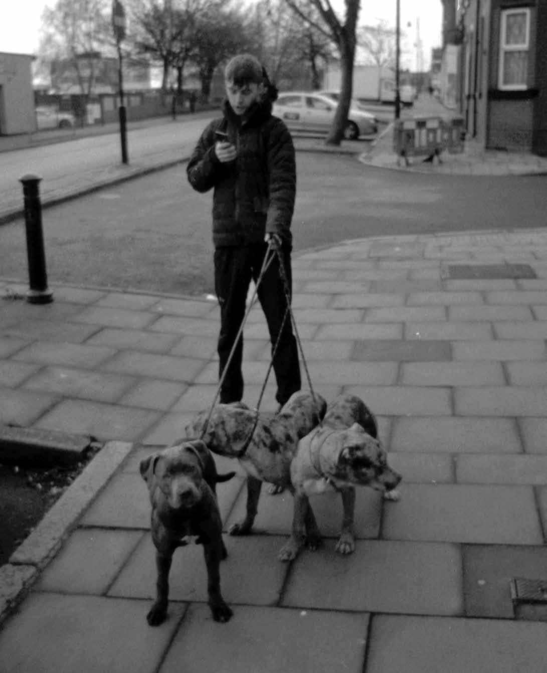 Loaded Gun Charlie Birch