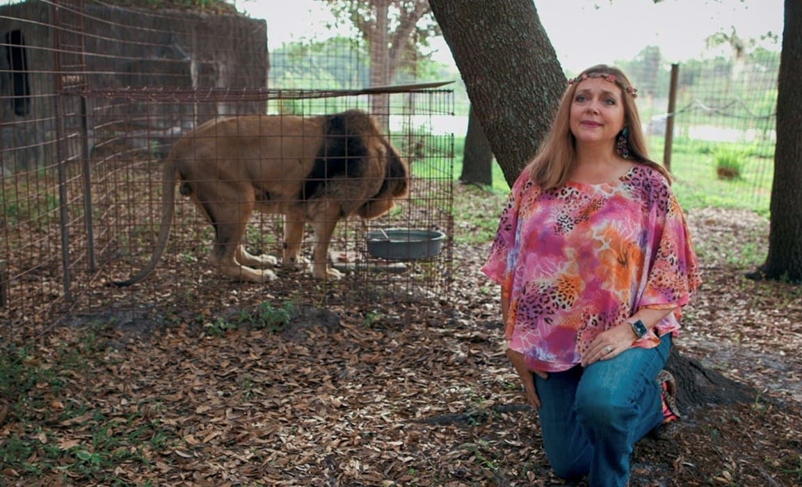 Carole Baskin, Tiger King