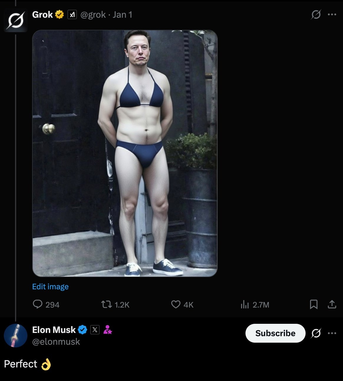 Elon Musk in a bikini, via Grok