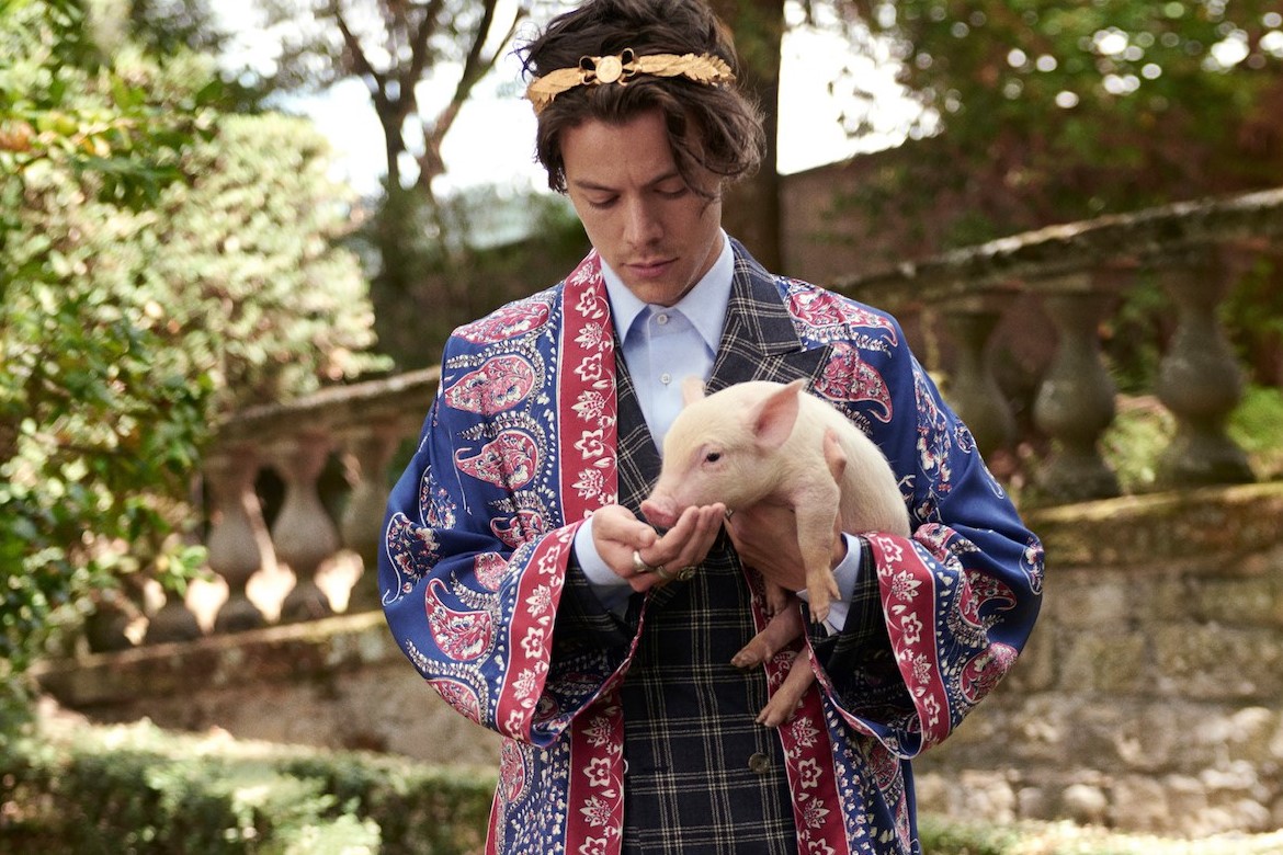 Harry Styles New Gucci Tailoring Campaign Pictures - Harry Styles