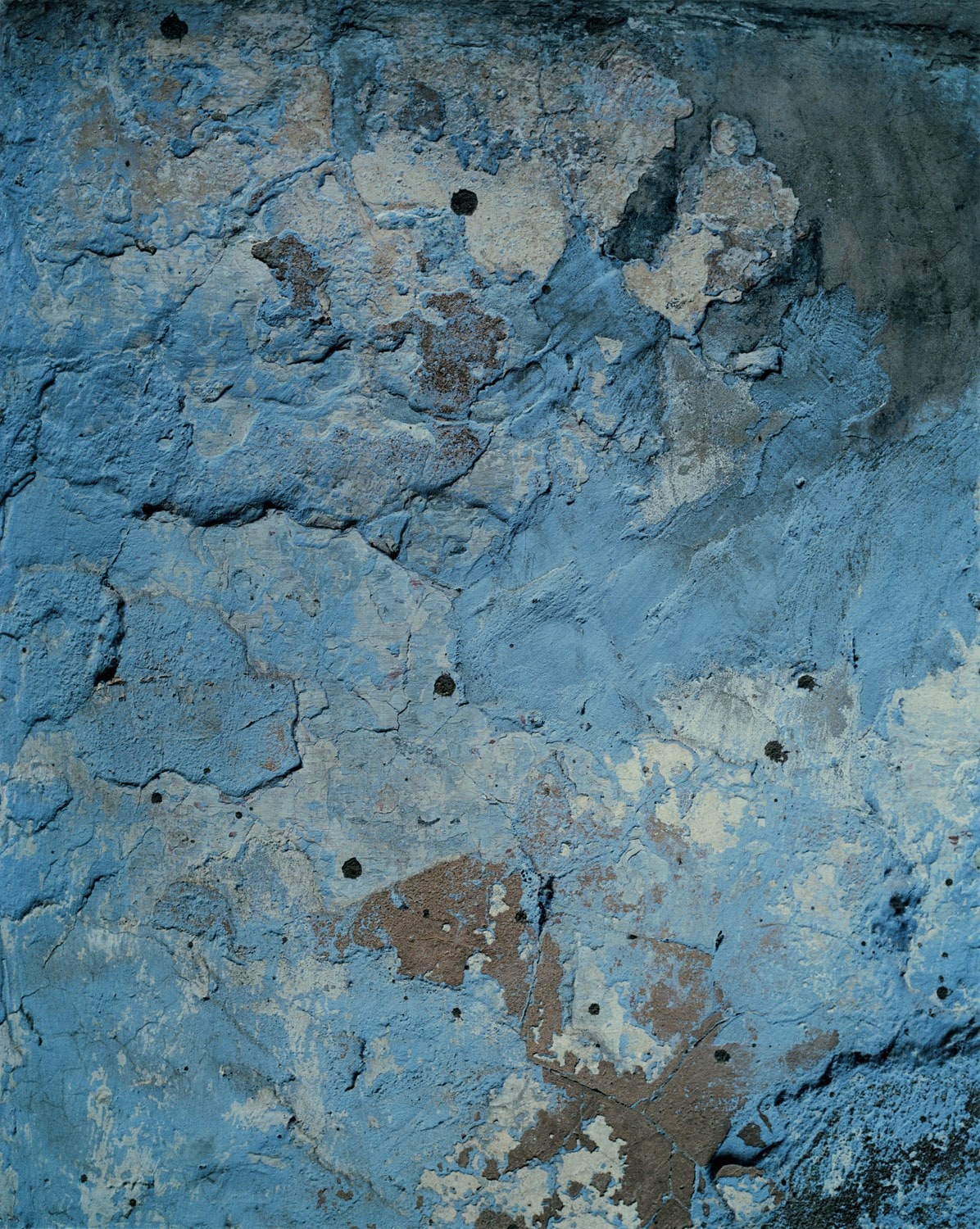 Harley Weir’s Paintings