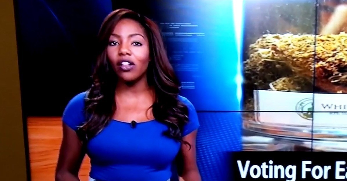 Pro weed news anchor who quit on air faces prison time Dazed