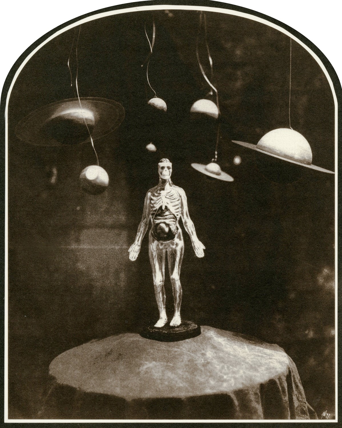 Blood Migration, 2008