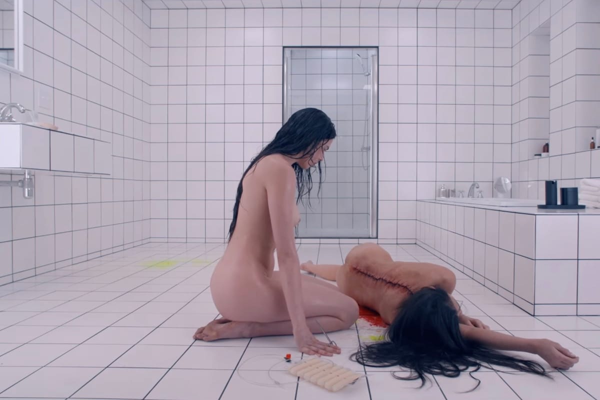 Goop horror: The new wave of literature skewering the beauty industry