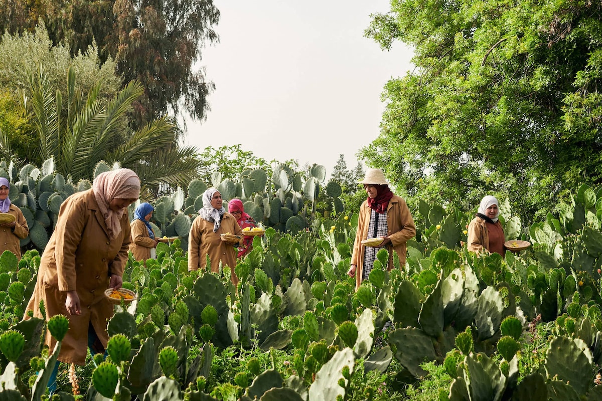 How YSL Beauty is supporting a Moroccan women’s co-operative