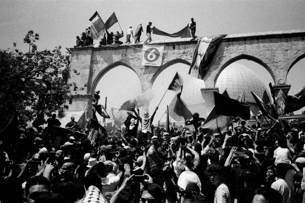 Palestine Is Everywhere: A new book is demanding art world solidarity