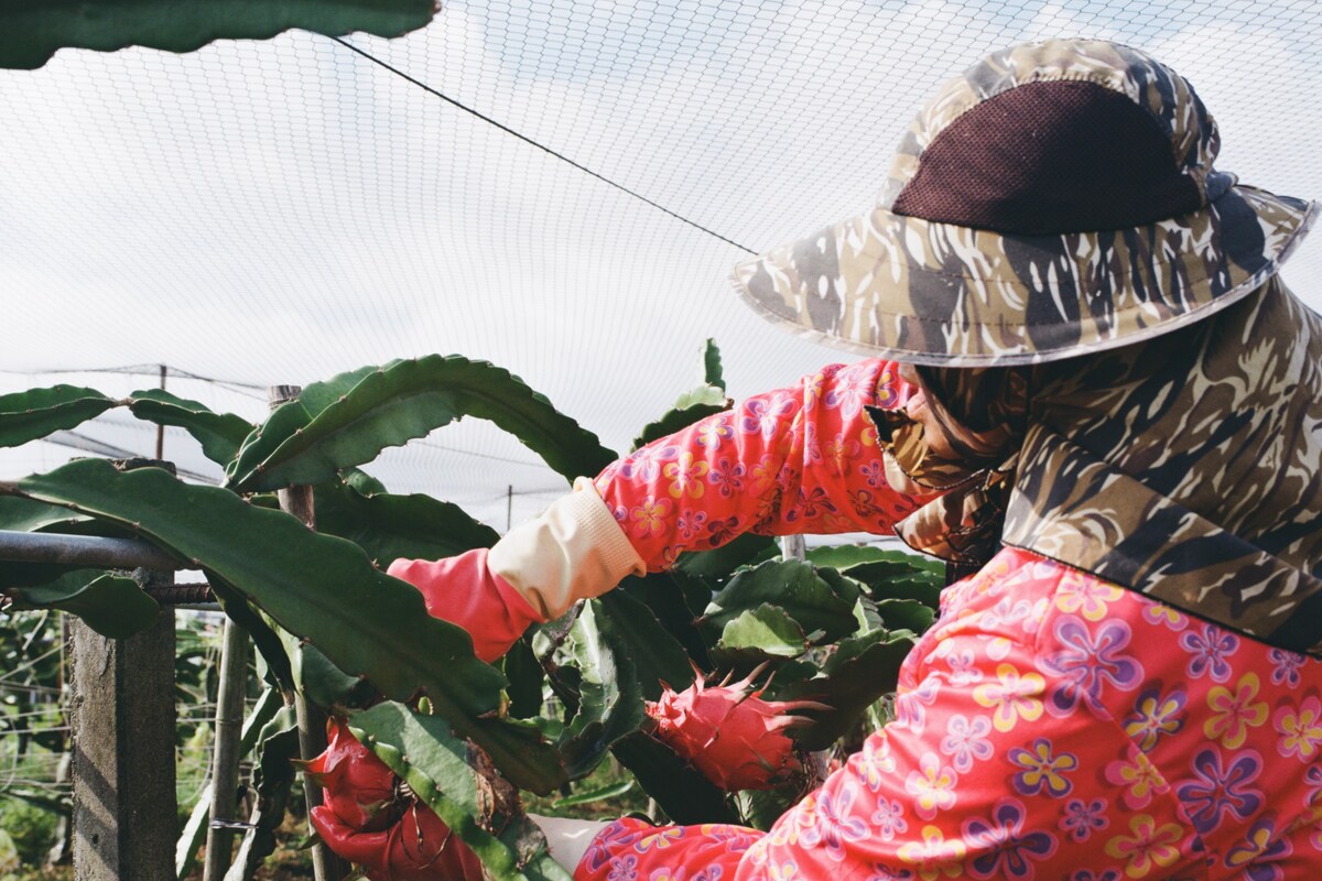 Angela Yu Hsin Dazed