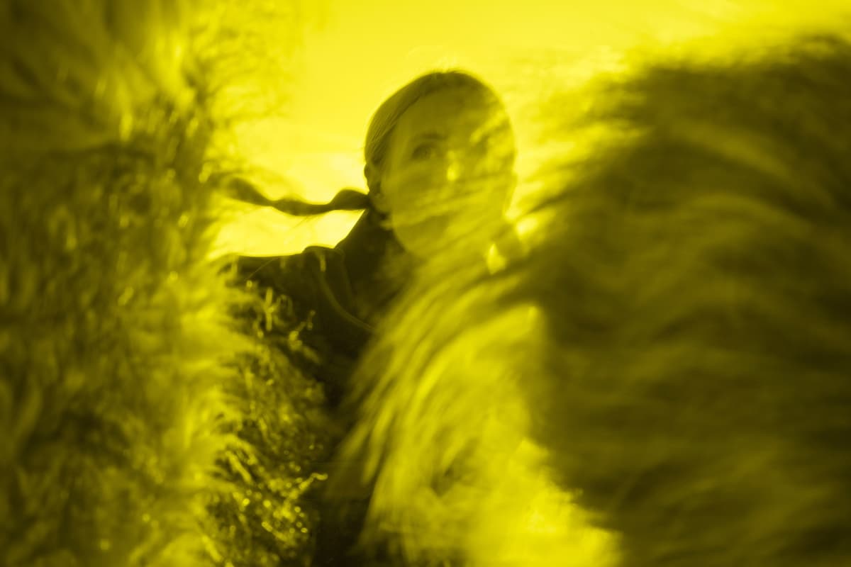 The artist turning weather into eerie, kinetic sculptures