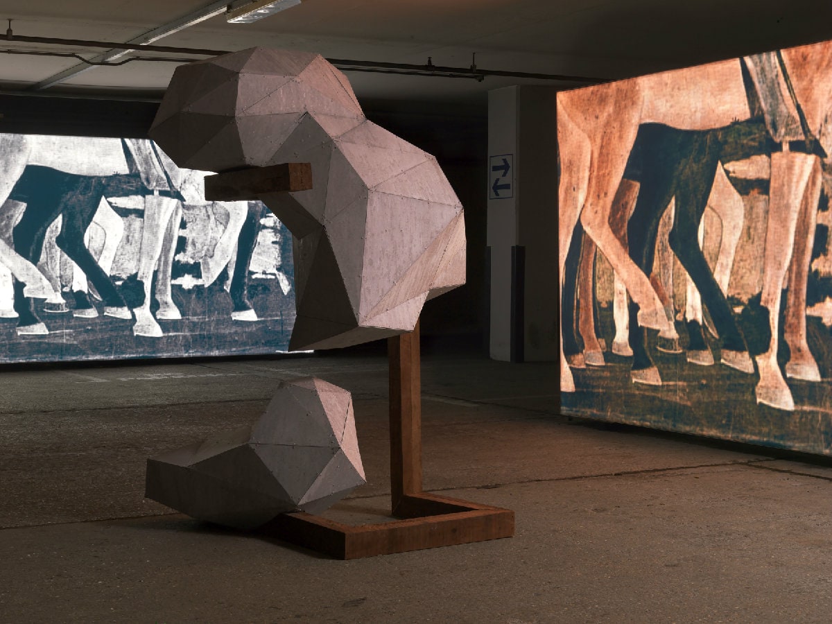 ‘Installation View – Toby Ziegler, The Cripples, Q