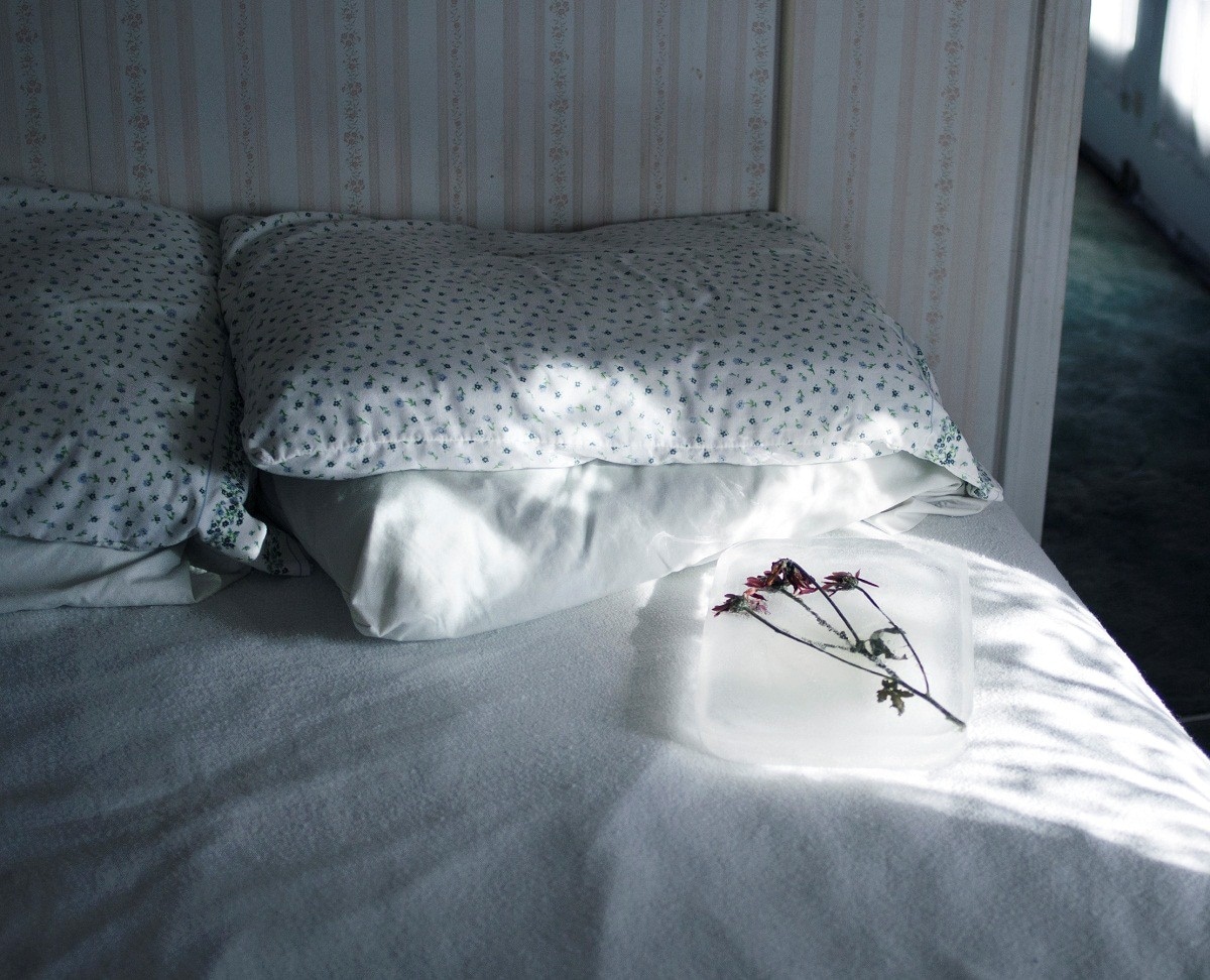 "Oh here you are, where did you disappear to?"