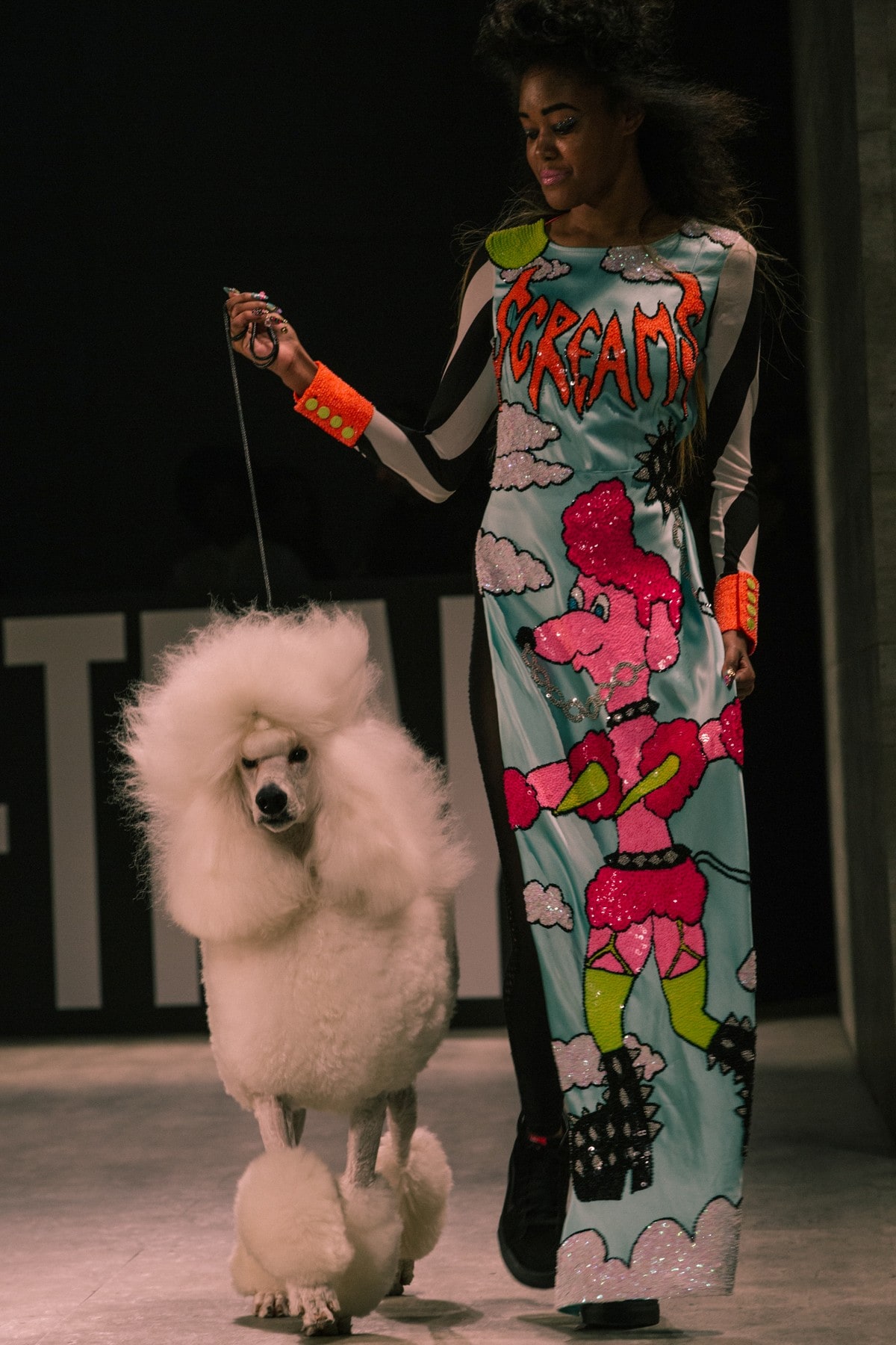 VFiles: DI$COUNT UNIVER$E AW15 poodle cartoon
