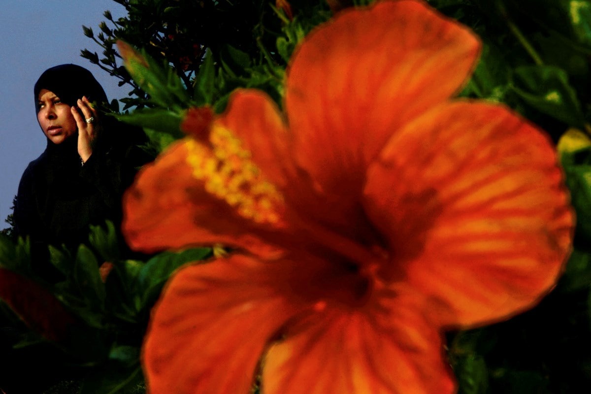 Laura El-Trantawy, In The Shadow Of The Pyramids