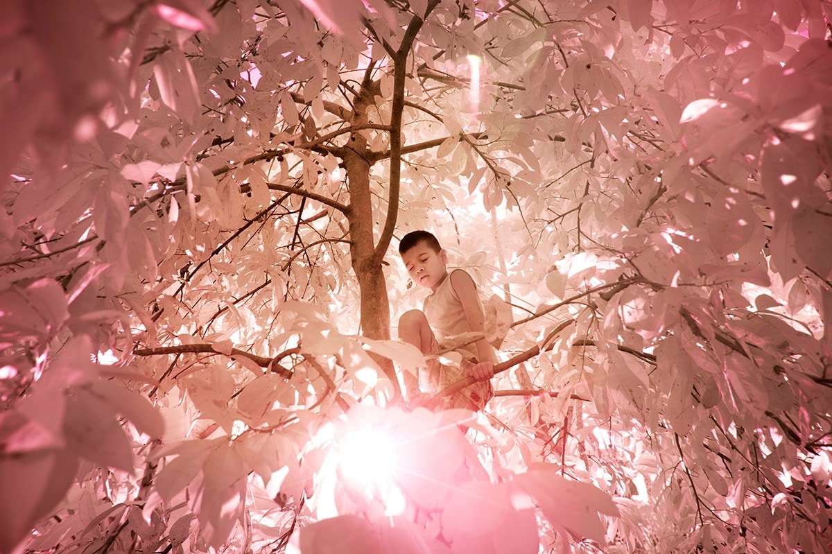 Sanne de Wilde, The Island Of The Colourblind