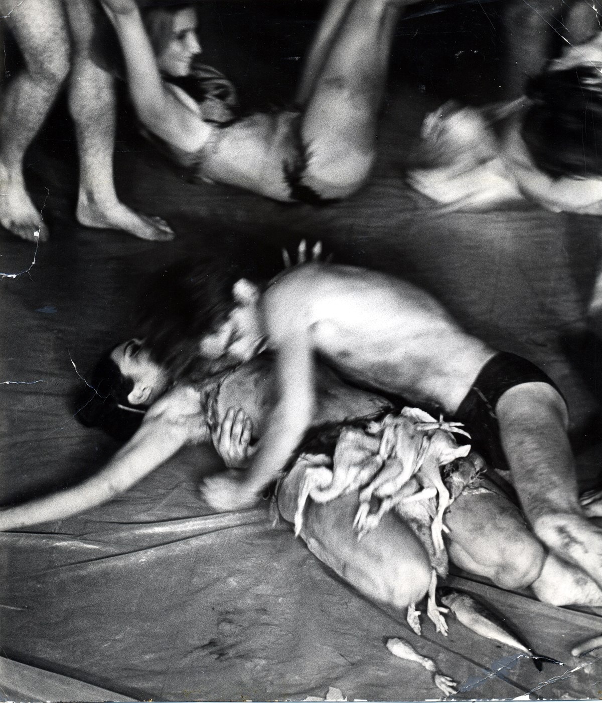 Carolee Schneemann at PS1