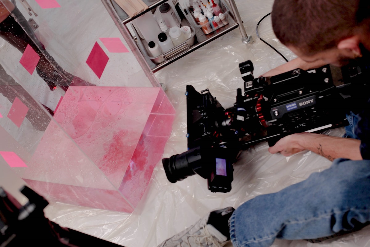 Stonewall 2069 Dazed