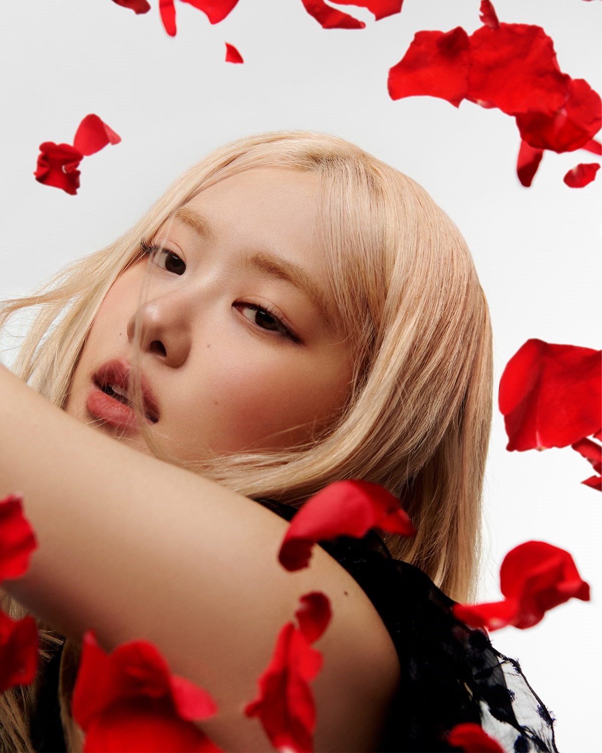 Rosé – The Summer 2025 Issue