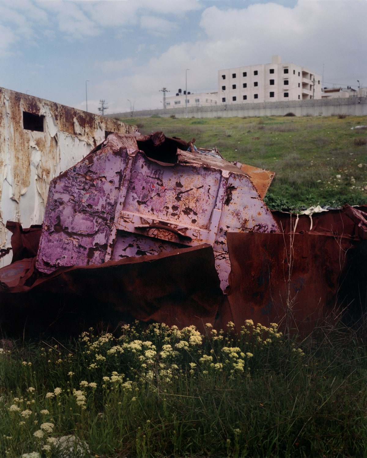 Harley Weir, Walls (2026)