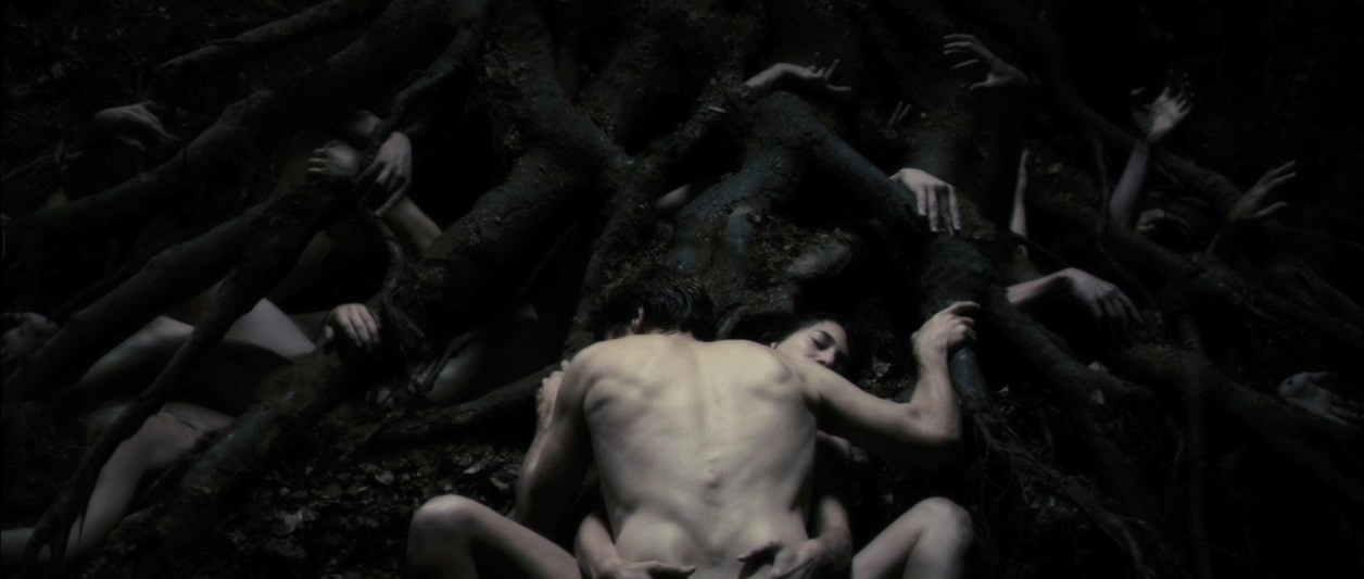 1256px x 533px - The five most disturbing films in recent memory | Dazed