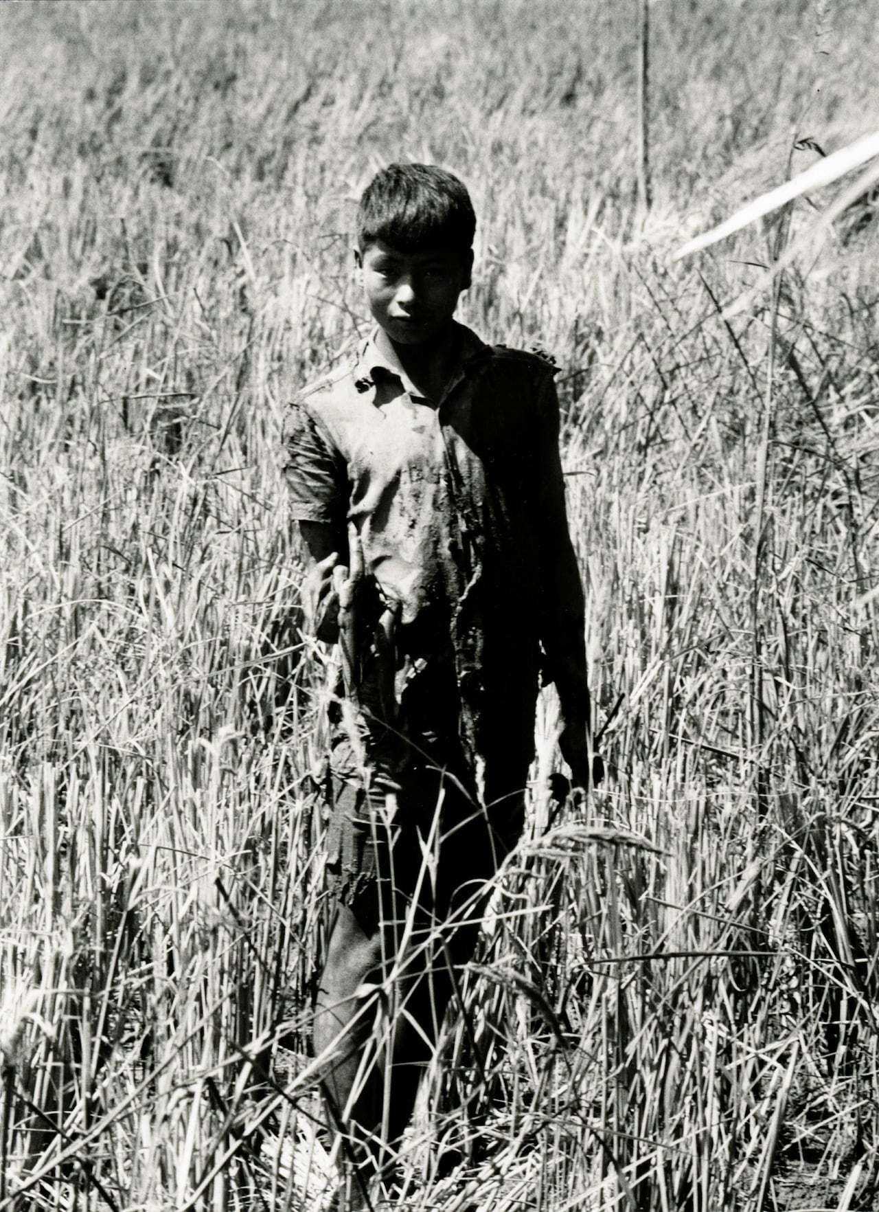 Danh Võ, Good Life, 2007.