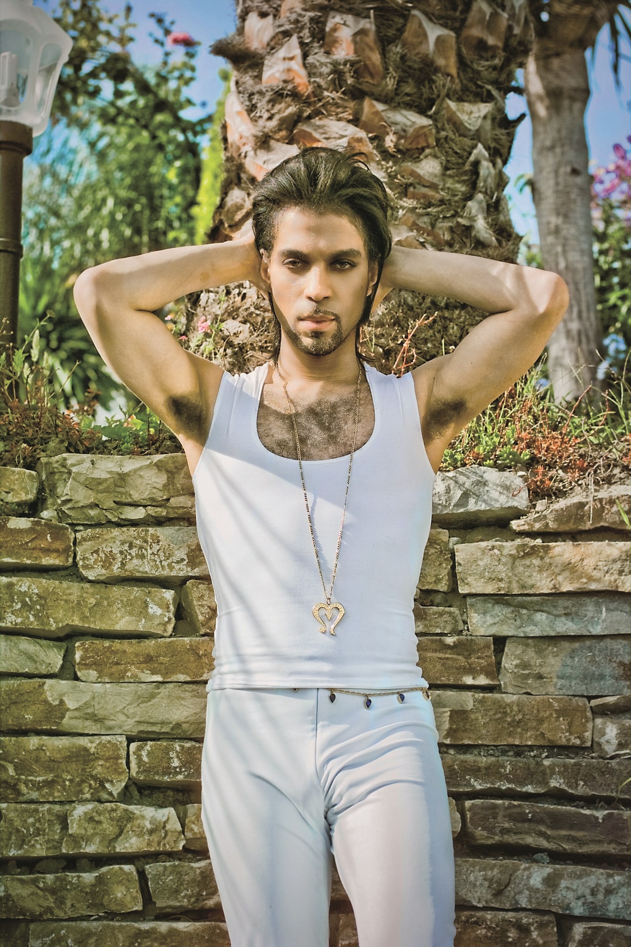 Steve Parke’s Picturing Prince